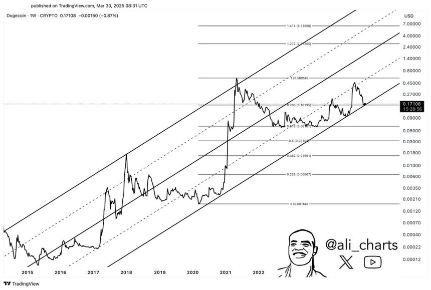 Dogecoin trading within a bullish channel | Source: Ali Martinez on X