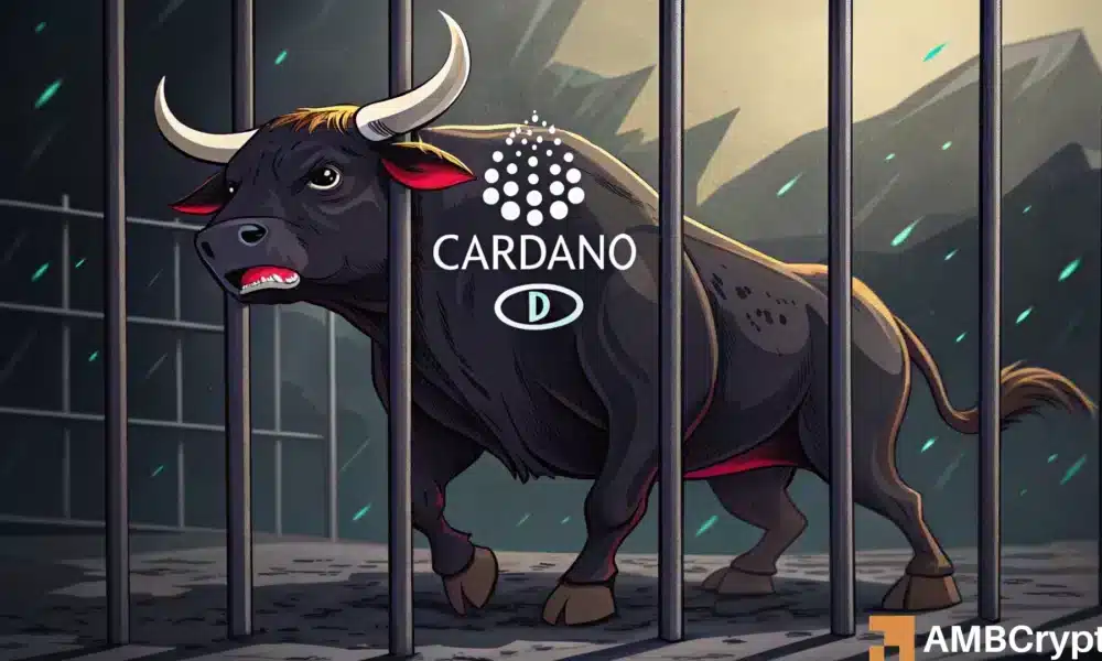 ADA eyes $0.80 next, but is there a bull trap in the making?