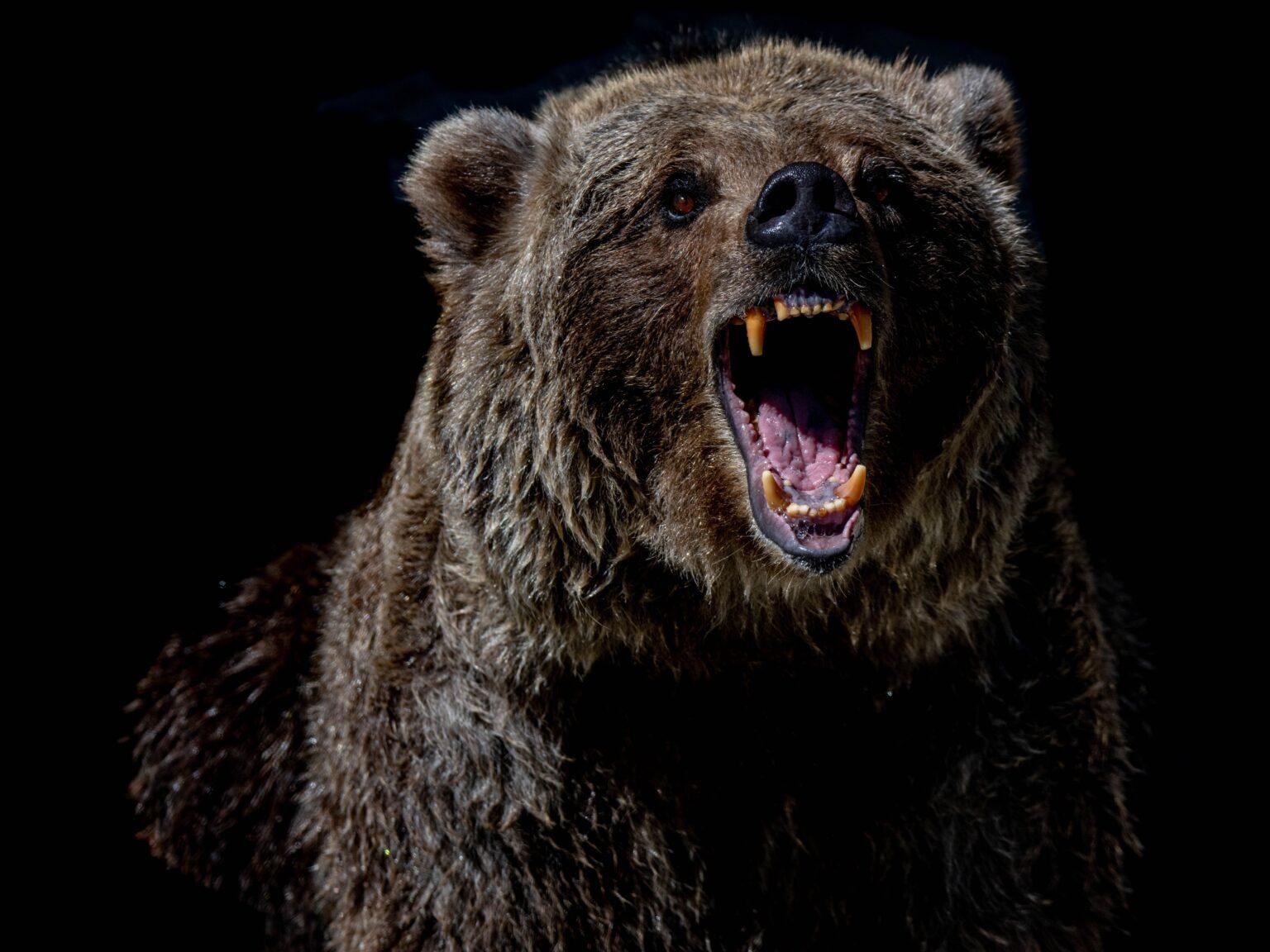 BTC Dips Below $80K as Crypto Sell-Off Worsens