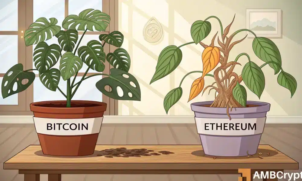 Traders bet on Bitcoin as Ethereum ETFs see $760 mln outflow – What’s spooking them?