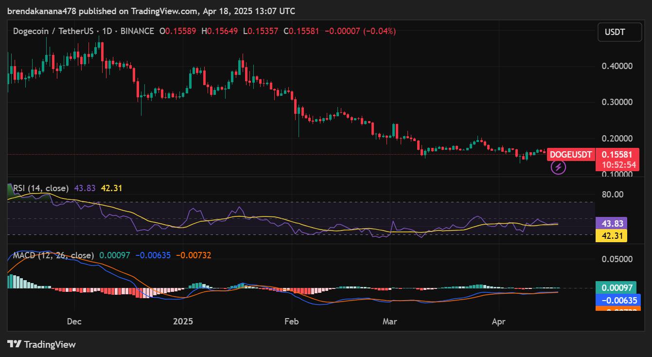 AD 4nXc5ISAlb19SZtIsGGXjDobR7ABuu0xABlPjr0adWyCtqQ2C EmPTXT toMigmUapclcf7BKdZsGPXCcm2Bl9