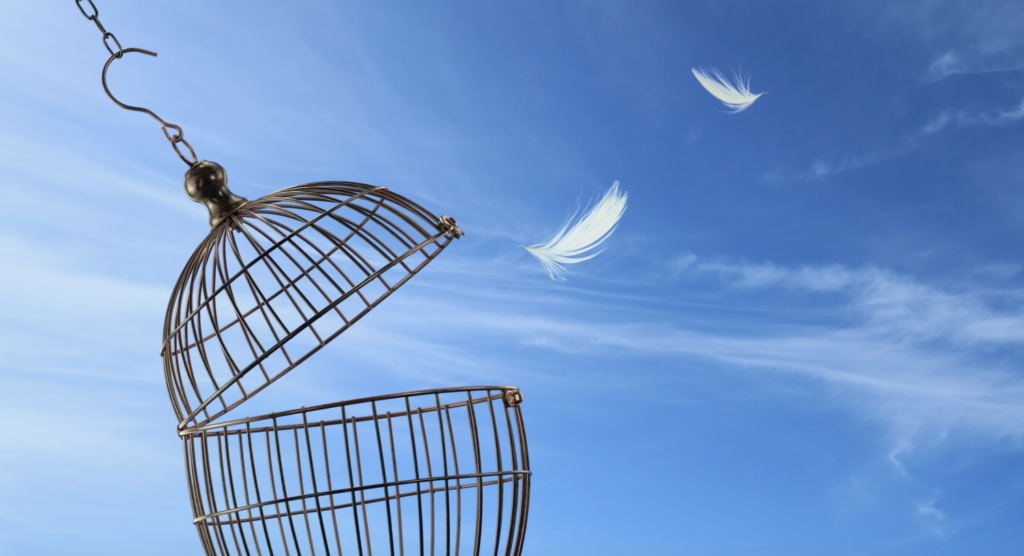 As BTC Eyes $100K, SHIB Breaks Out of YTD Downtrend and DOGE Sees Accumulation Around 18 Cents