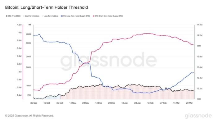 Bitcoin Holdings Data
