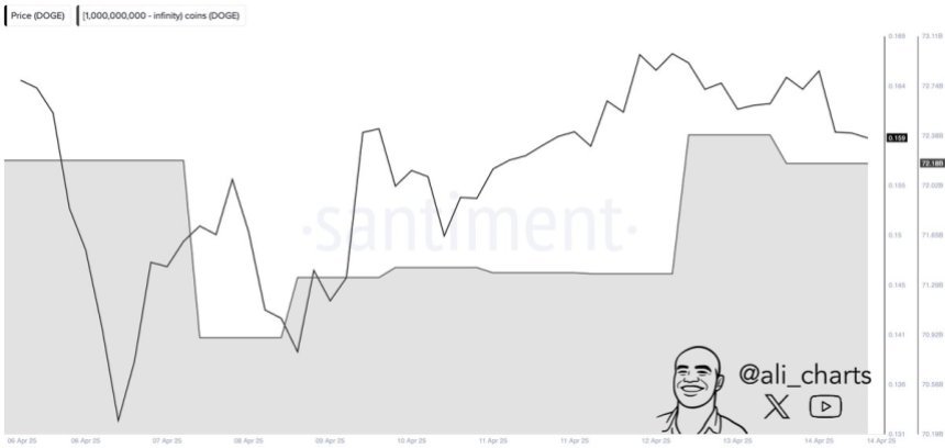 Dogecoin whales bought 800M DOGE in 48H | Source: Ali Martinez on X