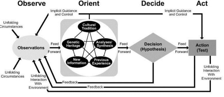 OODA Loop Detailed
