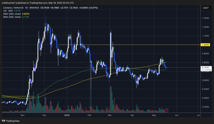 ADA consolidates above key moving average | Source: ADAUSDT chart on TradingView