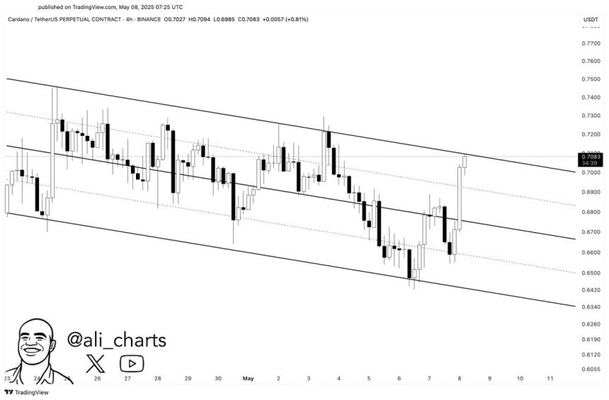 Cardano testing the upper boundary resistance of this channel | Source: Ali Martinez on X