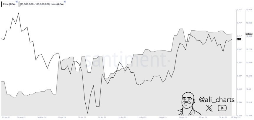 Cardano whales accumulated over 410 million ADA in April | Source: Ali Martinez on X