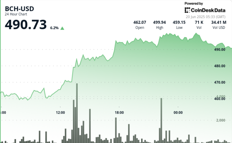 BCH Stages Surprise Run to Near $500 as Volumes Spike 500%