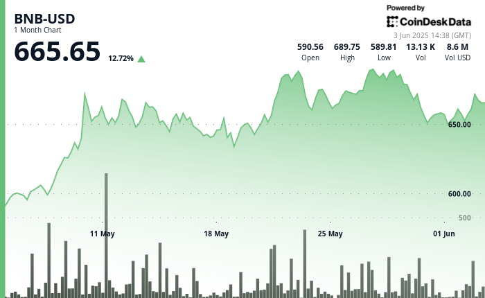 BNB Rises on Growing Regulatory Clarity, Renewed Trading Activity
