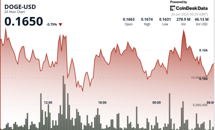 Dogecoin Bulls Defend 16 Cent Support as Elon Musk’s X Payments Speculations Loom