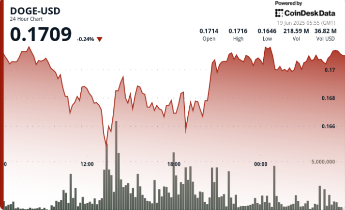 Dogecoin Steady But Flashing 'Oversold' in Signal for Bearish Bets