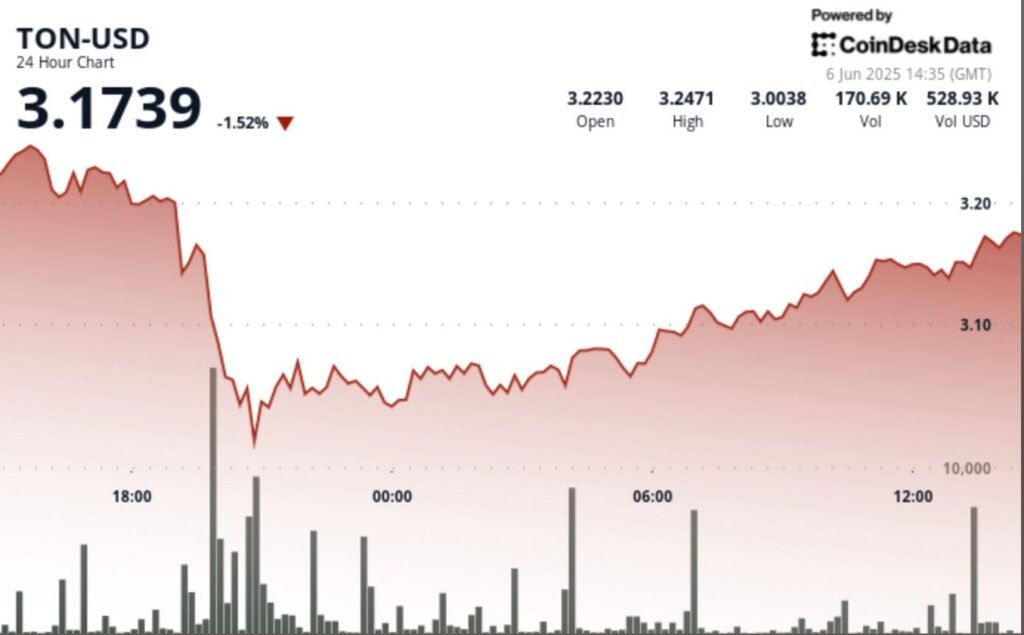 TON Finds ‘Strong Support’ at $3.00 Level Amid Wild Crypto Price Swings