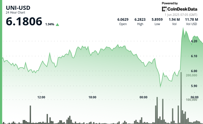 Token Rebounds After Sharp Drop Below $6